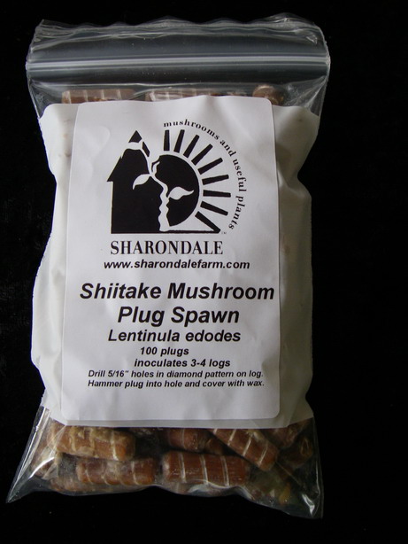 Mushroom Shiitake Plug Spawn
